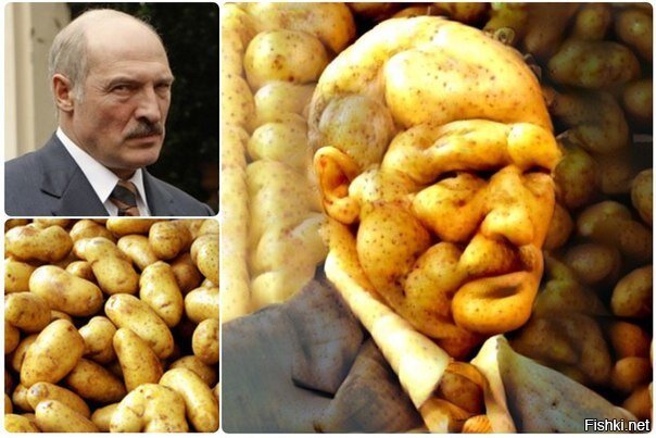Из солянки