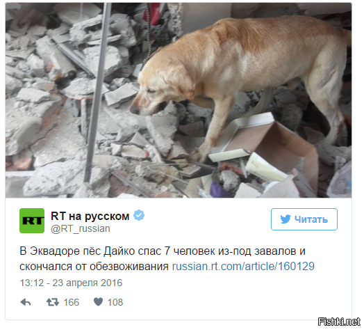 Друг человека