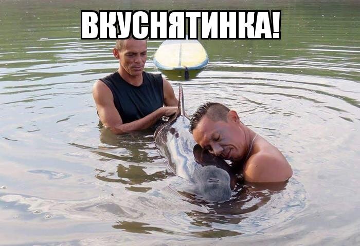Из солянки