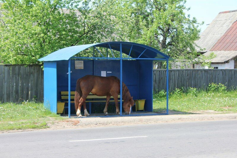 Ну сколько можно ждать то?