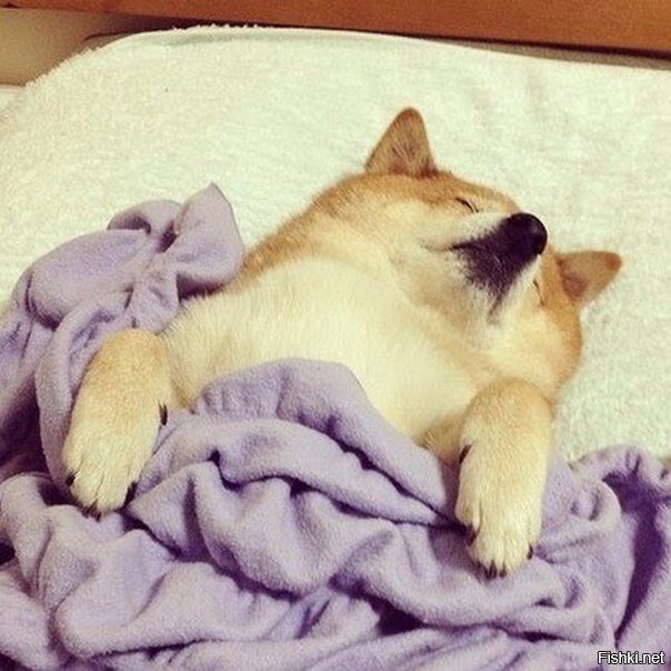 - Давай вставай