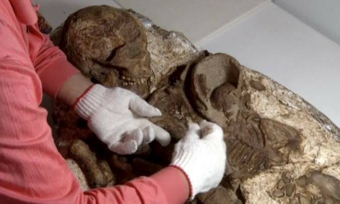 В Тайване обнаружили древнюю окаменелость матери с ребёнком