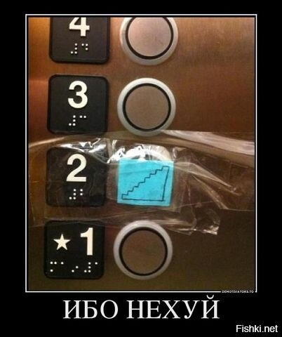 Из солянки