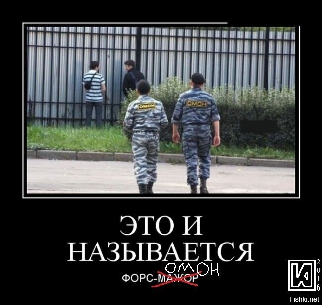 Из солянки