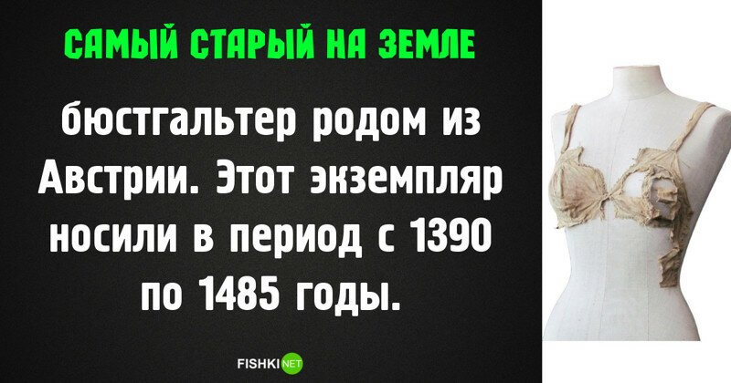 Самое, самое старое на нашей планете