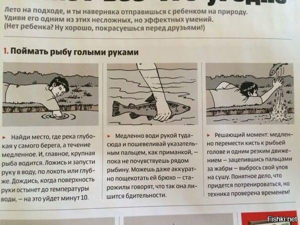 Из солянки