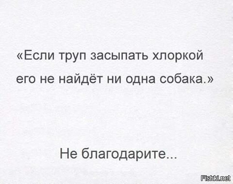 Из солянки