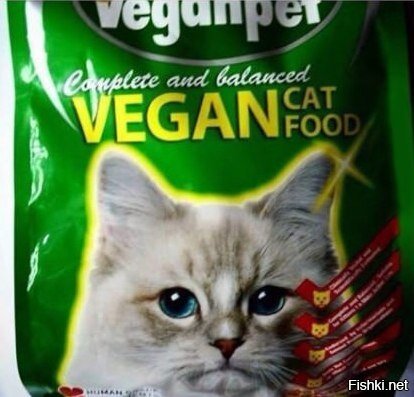 Вегетарианская еда для кошек