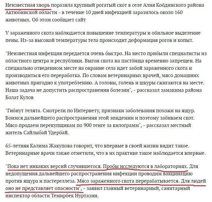 Что случилось не понятно, но жрать можно!