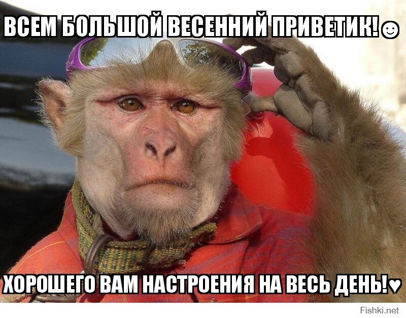 ВСЕМ БОЛЬШОЙ ВЕСЕННИЙ ПРИВЕТИК!☻