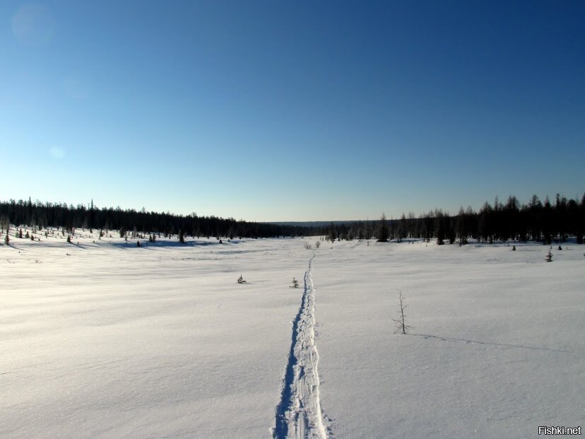 Бескрайние просторы