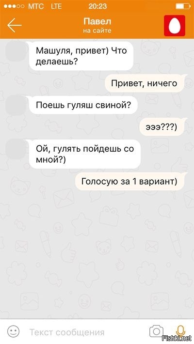 Из солянки