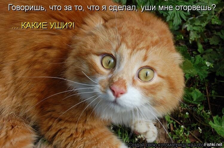 Нашкодничал