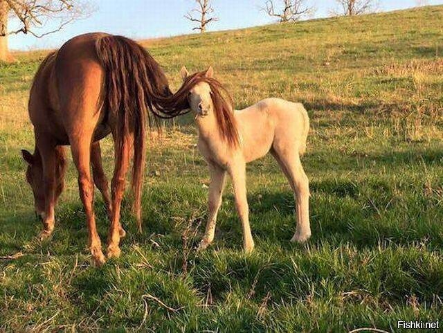 А вот так лучше 