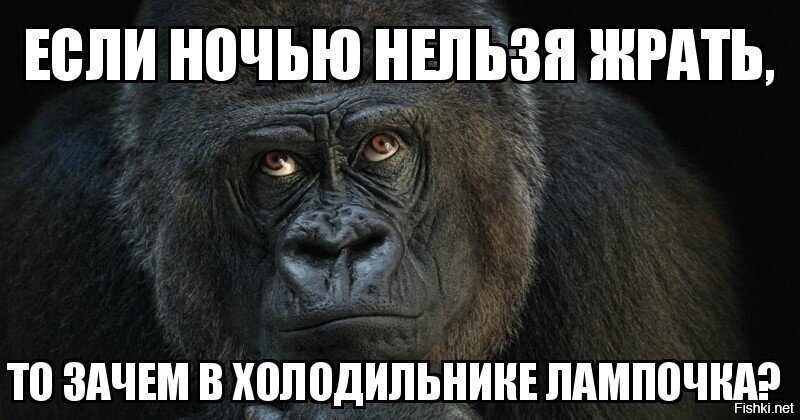 Из солянки