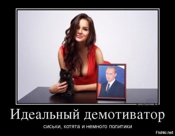 Из солянки