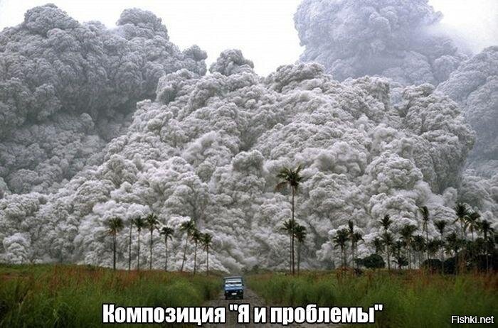 Из солянки