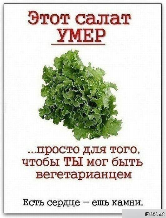 Из солянки