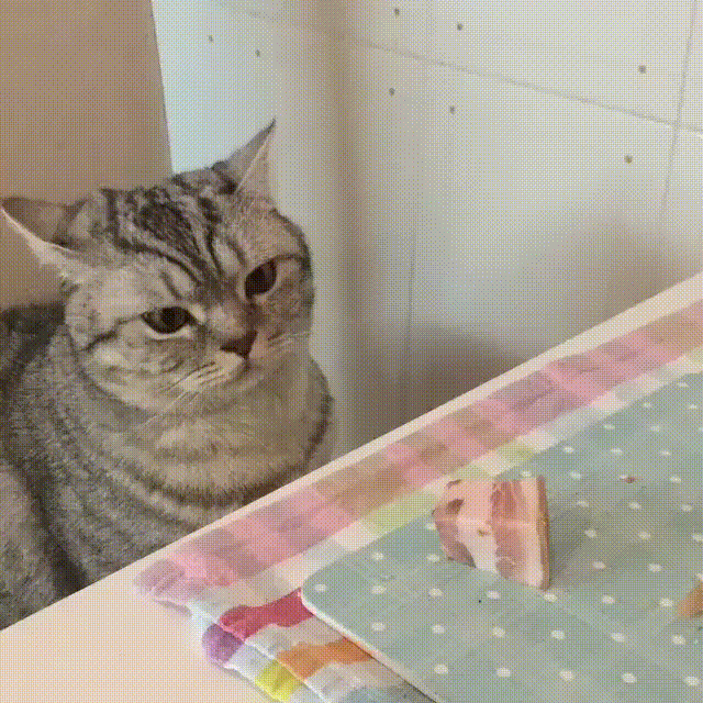 "Мне бы только потрогать"