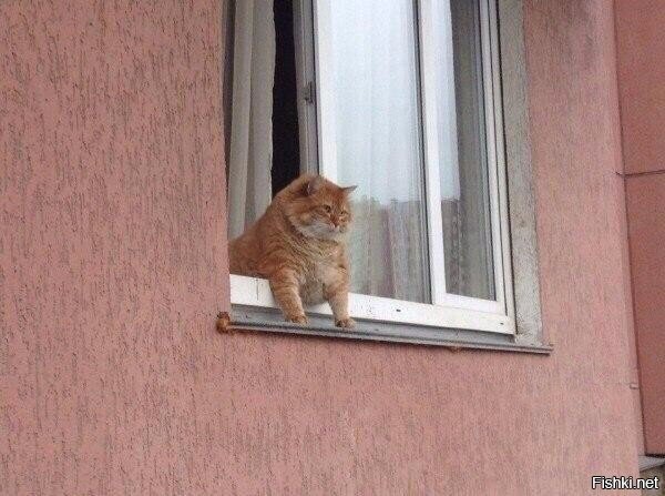 Я уже не мог становиться толще