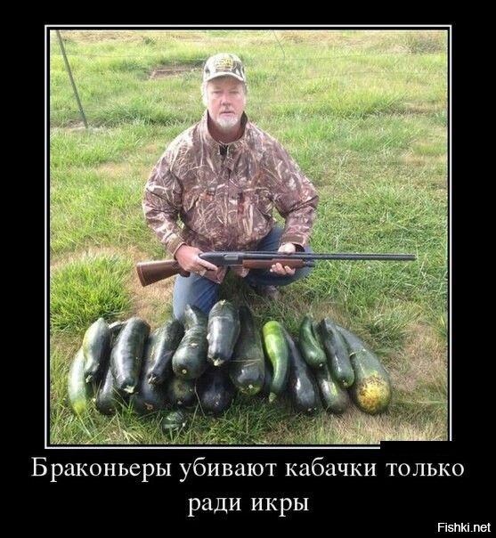 Из солянки
