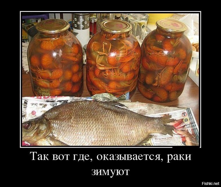 Из солянки