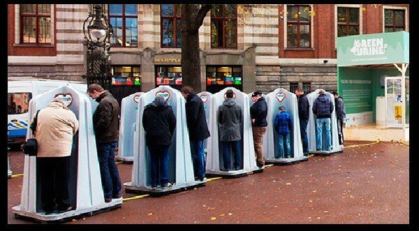Сортирная толерантность
