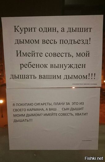 Из солянки