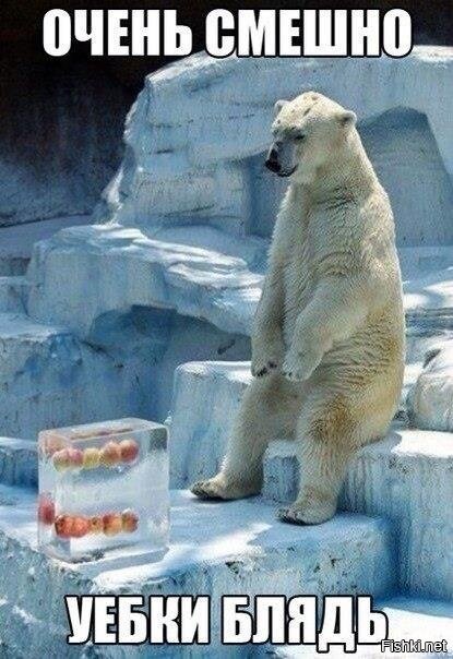 Из солянки