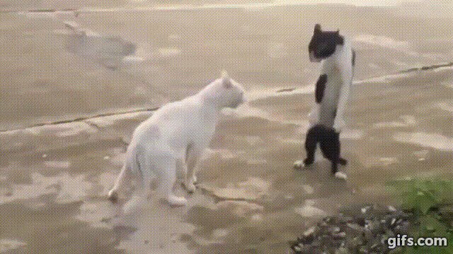 Мои GIF