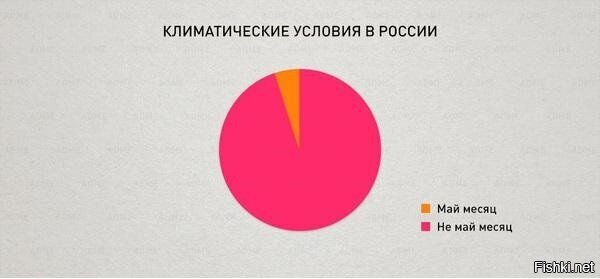 Из солянки