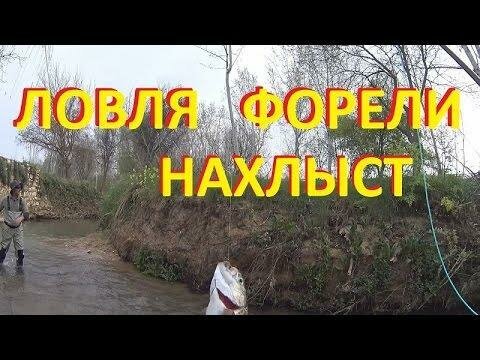 Форель. Ловля ручьевой форели в Испании