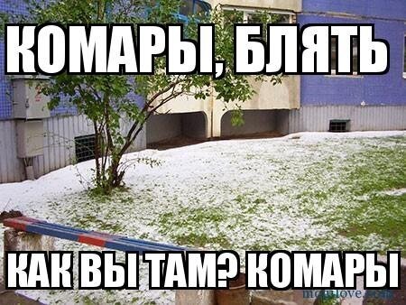 Из солянки