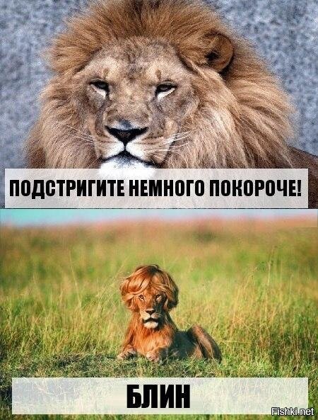 Из солянки