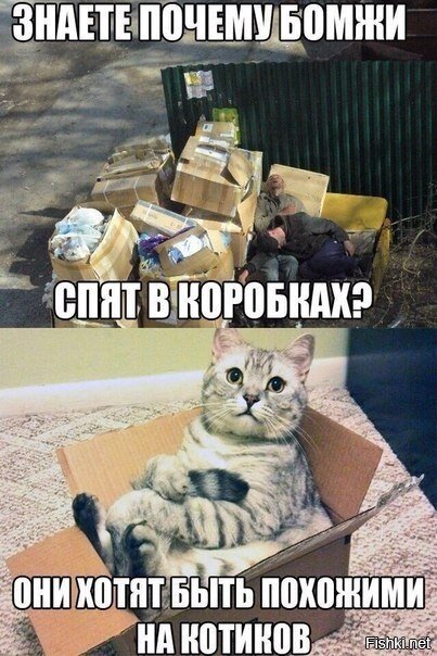 Из солянки