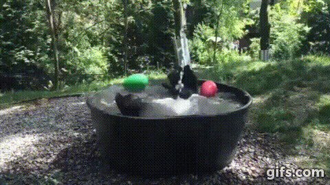 Спа для мишки