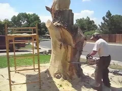  Засохший ствол дерева 