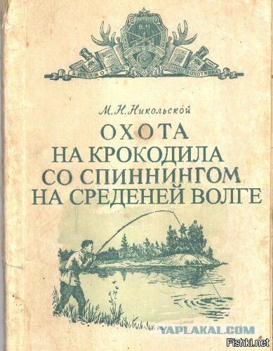 Из солянки