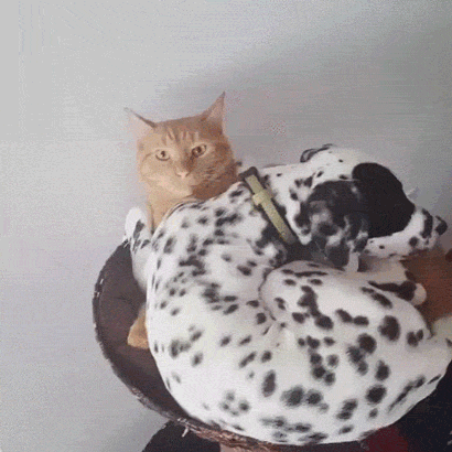 Когда в квартире мало места