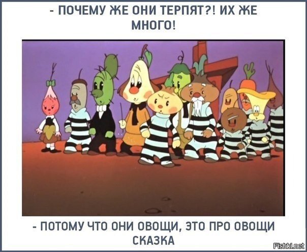 Из солянки