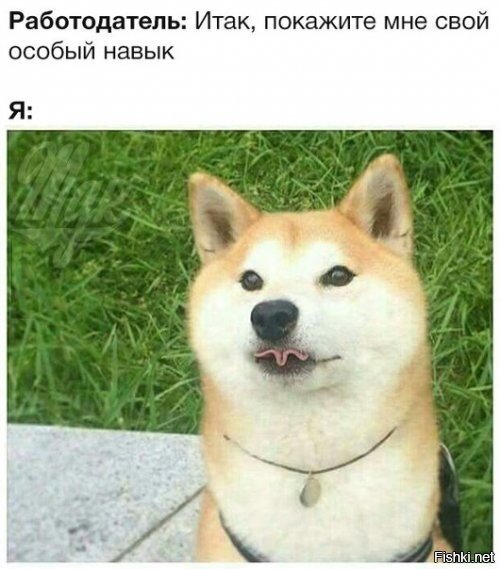 Из солянки