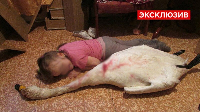  Смерть в подарок 