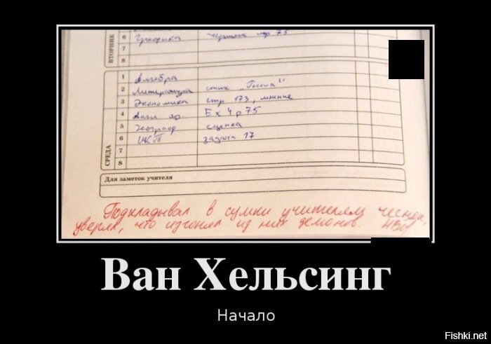 Из солянки