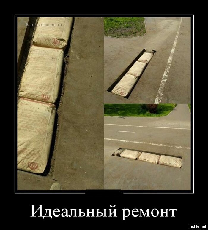 Из солянки