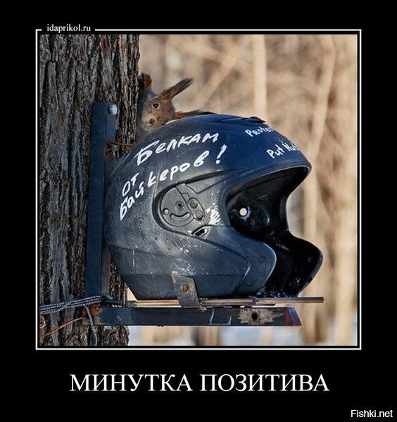 Из солянки