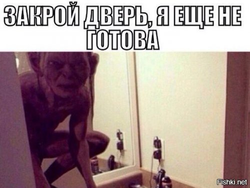 Из солянки