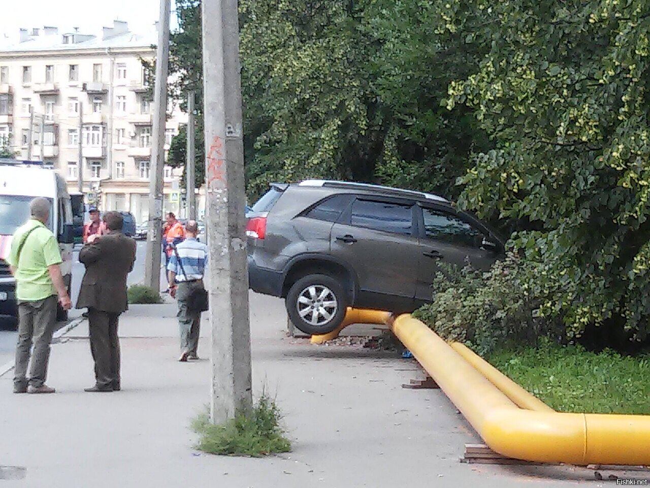 Лично сегодня сфоткал, по пути на работу