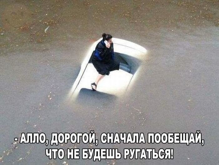 Дорогой 