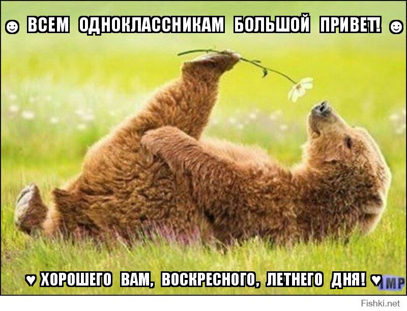 ☻  ВСЕМ   ОДНОКЛАССНИКАМ   БОЛЬШОЙ   ПРИВЕТ!  ☻