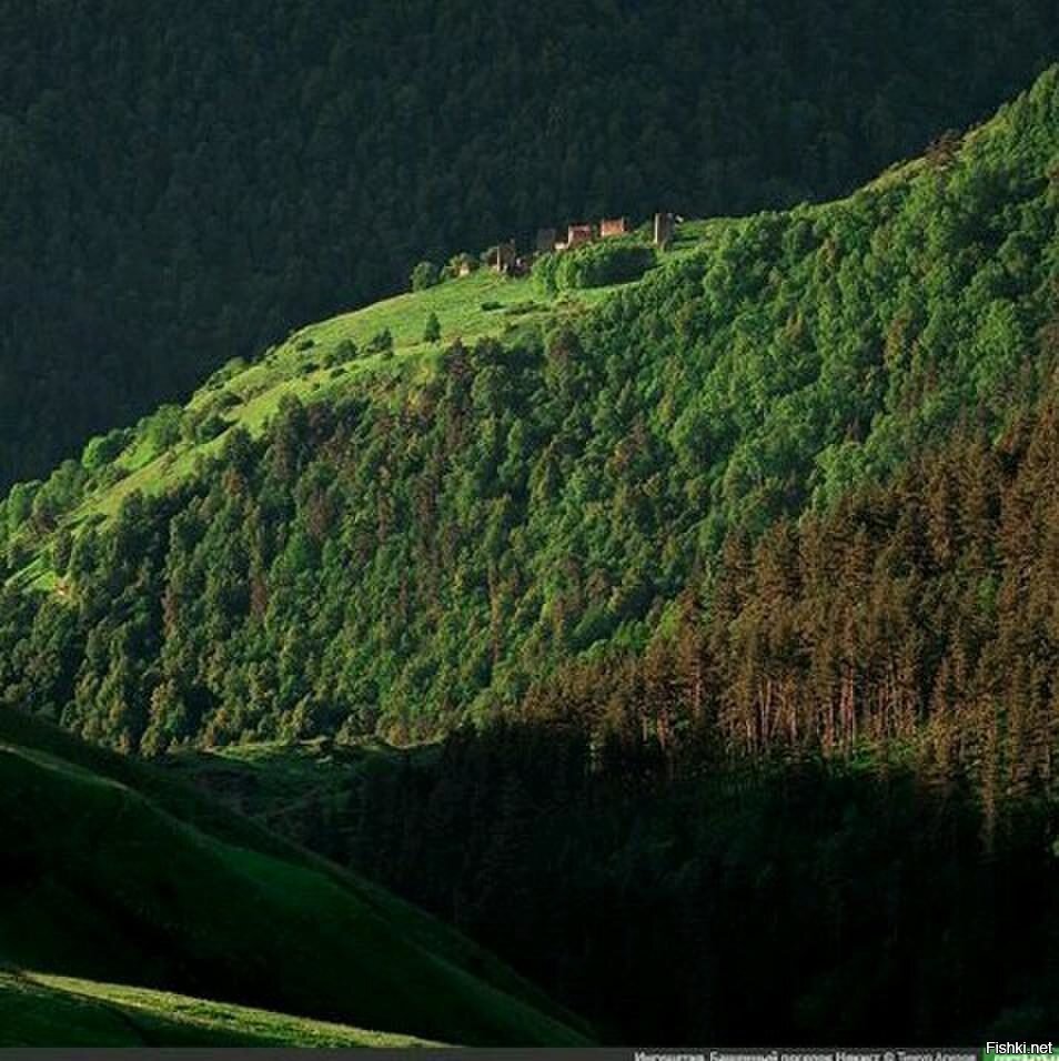 Вид на средневековое башенное поселение,Ингушетия
